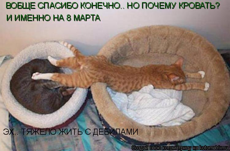 Котоматрица: ВОБЩЕ СПАСИБО КОНЕЧНО.. НО ПОЧЕМУ КРОВАТЬ? И ИМЕННО НА 8 МАРТА ЭХ.. ТЯЖЕЛО ЖИТЬ С ДЕБИЛАМИ