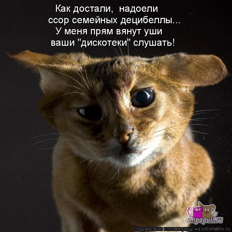У меня прям вянут уши ваши "дискотеки" слушать! Как достали, надоели ссор семейных децибеллы...... Котоматрица: У меня прям вянут уши ваши "дискотеки" слушать! Как достали, надоели ссор семейных децибеллы...