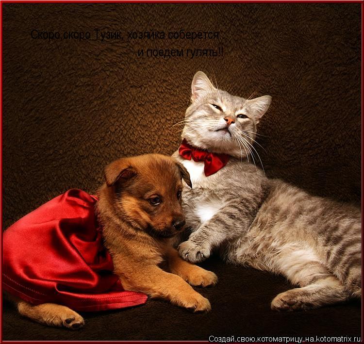 Скоро,скоро Тузик, хозяйка соберётся... и поедем гулять!!... Котоматрица: Скоро,скоро Тузик, хозяйка соберётся... и поедем гулять!!