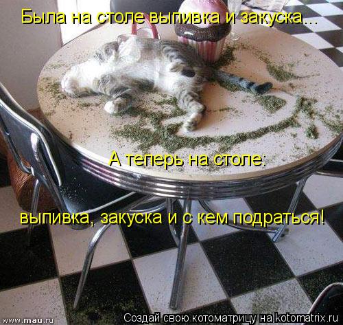 Была на столе выпивка и закуска... А теперь на столе: выпивка, закуска и с кем подраться!... Котоматрица: Была на столе выпивка и закуска... А теперь на столе: выпивка, закуска и с кем подраться!