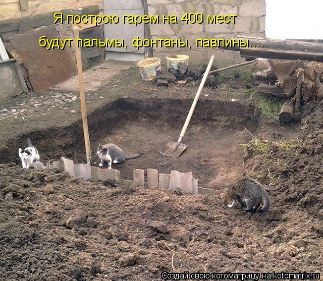 Я построю гарем на 400 мест будут пальмы, фонтаны, павлины....... Котоматрица: Я построю гарем на 400 мест будут пальмы, фонтаны, павлины....
