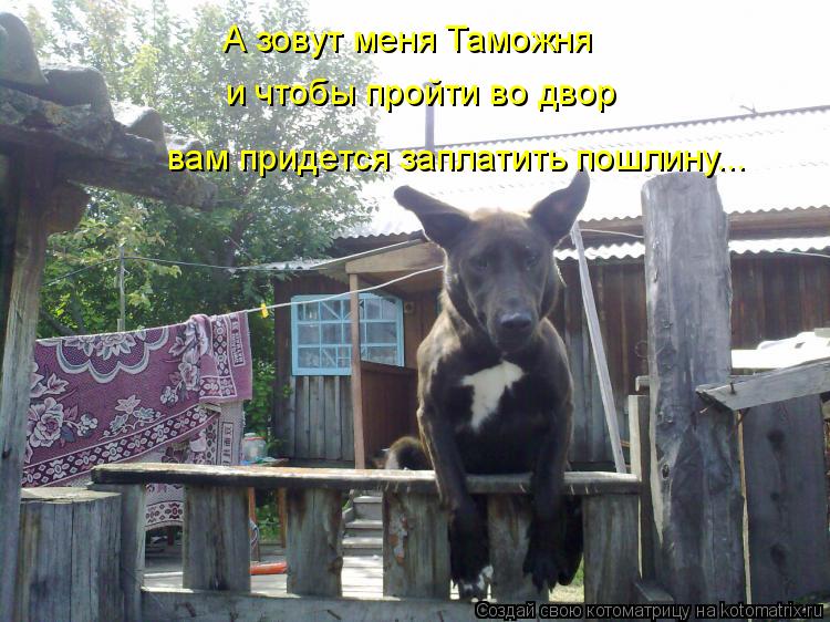 А зовут меня Таможня и чтобы пройти во двор вам придется заплатить пошлину...... Котоматрица: А зовут меня Таможня и чтобы пройти во двор вам придется заплатить пошлину...