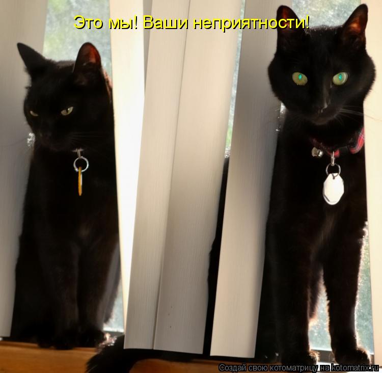 Это мы! Ваши неприятности!... Котоматрица: Это мы! Ваши неприятности!