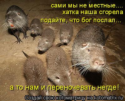 сами мы не местные.... хатка наша сгорела подайте, что бог послал... а то нам и переночевать негде!... Котоматрица: сами мы не местные.... хатка наша сгорела подайте, что бог послал... а то нам и переночевать негде!