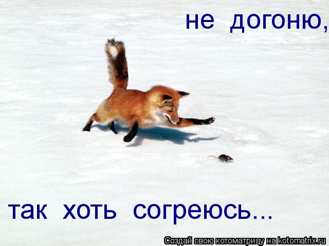 не догоню, так хоть согреюсь...... Котоматрица: не догоню, так хоть согреюсь...