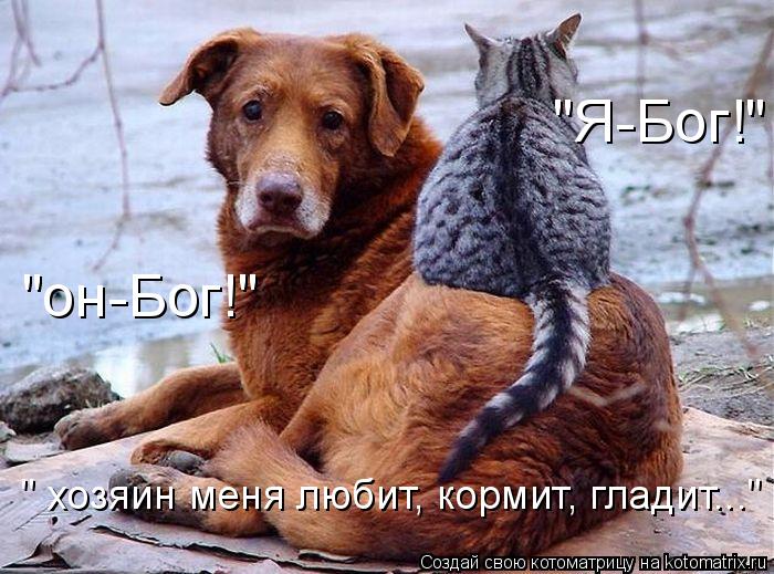 " хозяин меня любит, кормит, гладит..." "он-Бог!" "Я-Бог!"... Котоматрица: " хозяин меня любит, кормит, гладит..." "он-Бог!" "Я-Бог!"