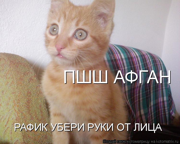 ПШШ АФГАН РАФИК УБЕРИ РУКИ ОТ ЛИЦА... Котоматрица: ПШШ АФГАН РАФИК УБЕРИ РУКИ ОТ ЛИЦА