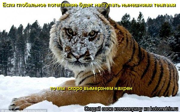 Если глобальное потепление будет наступать нынешними темпами то мы скоро вымерзнем нахрен... Котоматрица: Если глобальное потепление будет наступать нынешними темпами то мы скоро вымерзнем нахрен
