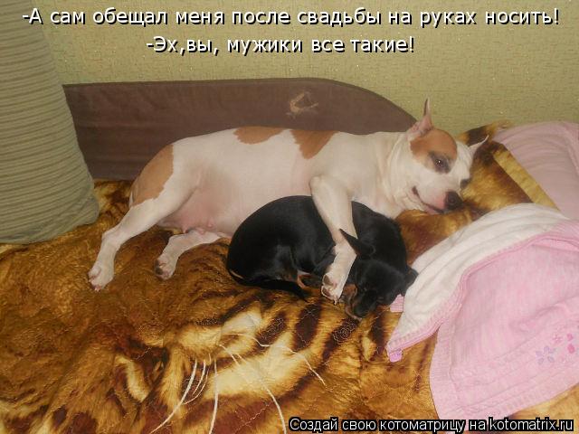 -А сам обещал меня после свадьбы на руках носить! -Эх,вы, мужики все такие!... Котоматрица: -А сам обещал меня после свадьбы на руках носить! -Эх,вы, мужики все такие!