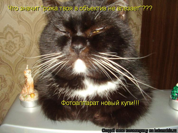 Что значит "рожа твоя в объектив не влезает"??? Фотоаппарат новый купи!!!... Котоматрица: Что значит "рожа твоя в объектив не влезает"??? Фотоаппарат новый купи!!!
