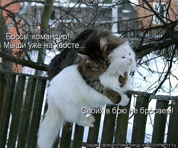 Котоматрица: Брось, командир!  Мыши уже на хвосте... Своих в бою не бросаем!