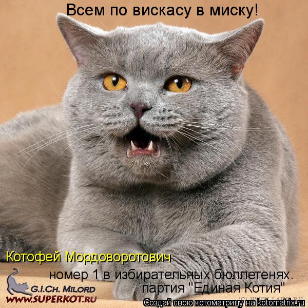 Котоматрица: Всем по вискасу в миску! номер 1 в избирательных бюллетенях. Котофей Мордоворотович партия "Единая Котия"