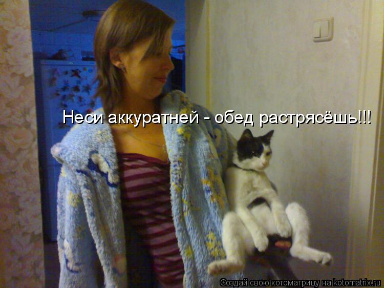 Котоматрица: Неси аккуратней - обед растрясёшь!!!
