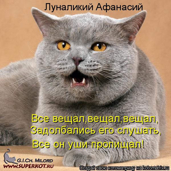 Котоматрица: Луналикий Афанасий Все вещал,вещал,вещал, Задолбались его слушать, Все он уши пропищал!
