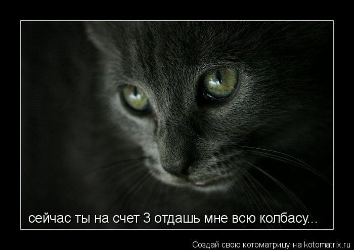 Котоматрица: сейчас ты на счет 3 отдашь мне всю колбасу...