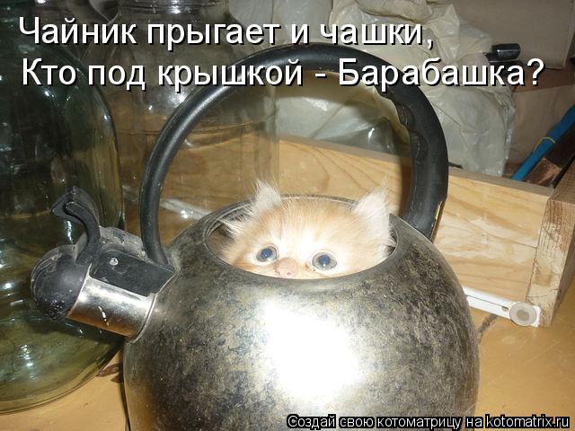 Котоматрица: Чайник прыгает и чашки, Кто под крышкой - Барабашка?