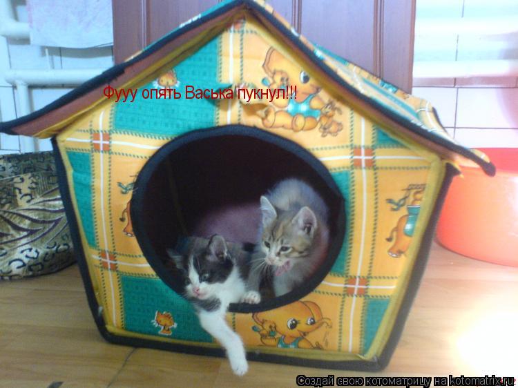 Котоматрица: Фууу опять Васька пукнул!!!