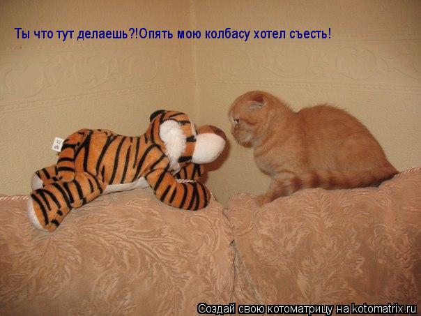 Котоматрица: Ты что тут делаешь?!Опять мою колбасу хотел съесть!