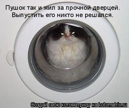 Котоматрица: Пушок так и жил за прочной дверцей. Выпустить его никто не решался.