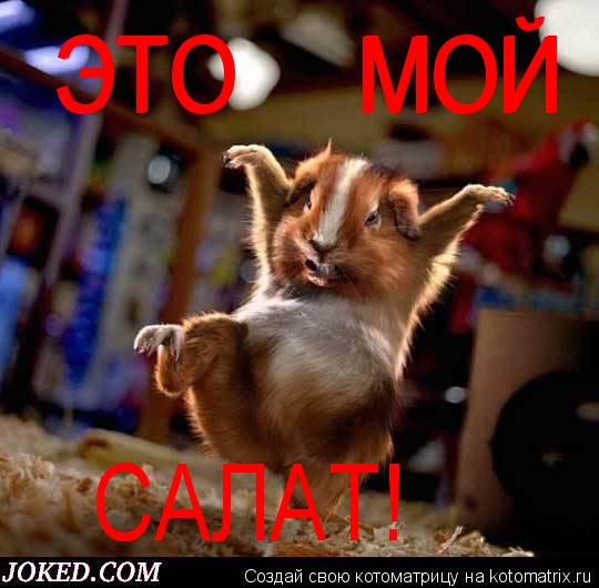 Котоматрица: ЭТО     МОЙ ЭТО     МОЙ САЛАТ!