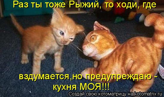 Котоматрица: Раз ты тоже Рыжий, то ходи, где кухня МОЯ!!!  вздумается,но предупреждаю -