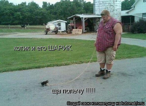 Котоматрица: котик и его ШАРИК. ща полечу ща полечу !!!!!