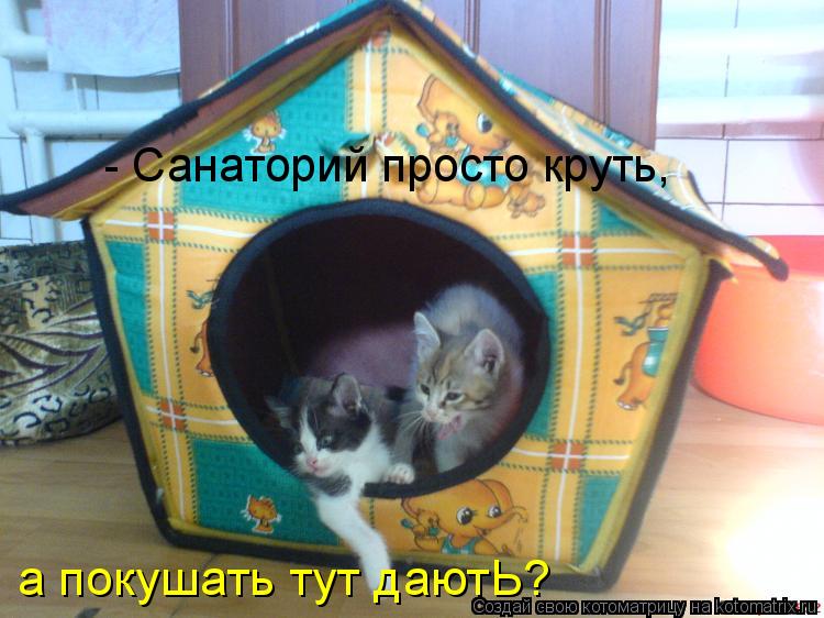 Котоматрица: - Санаторий просто круть, а покушать тут даютЬ?