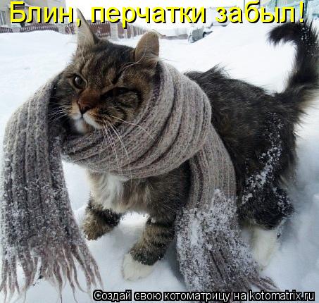 Котоматрица: Блин, перчатки забыл!
