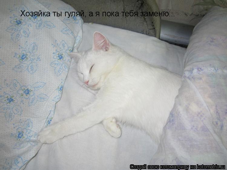 Котоматрица: Хозяйка ты гуляй, а я пока тебя заменю...