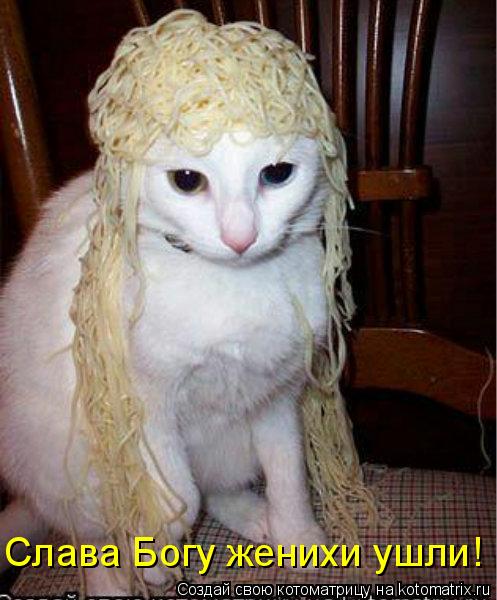 Котоматрица: Слава Богу женихи ушли!