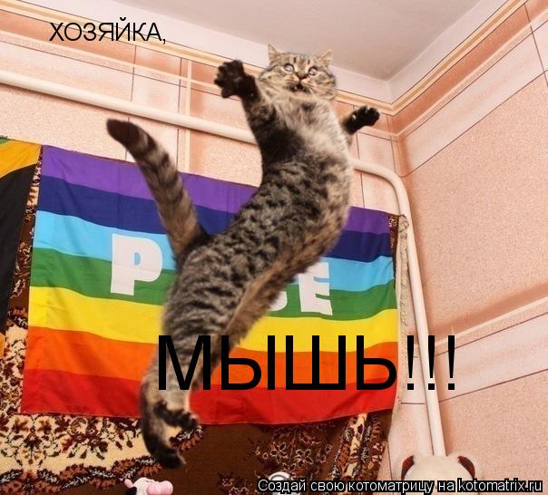 Котоматрица: ХОЗЯЙКА,  МЫШЬ!!!