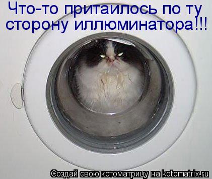 Котоматрица: Что-то притаилось по ту сторону иллюминатора!!!