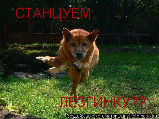 Котоматрица: СТАНЦУЕМ ЛЕЗГИНКУ??