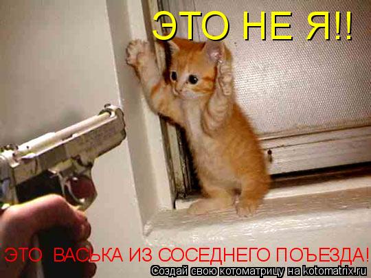 Котоматрица: ЭТО НЕ Я!! ЭТО  ВАСЬКА ИЗ СОСЕДНЕГО ПОЪЕЗДА!