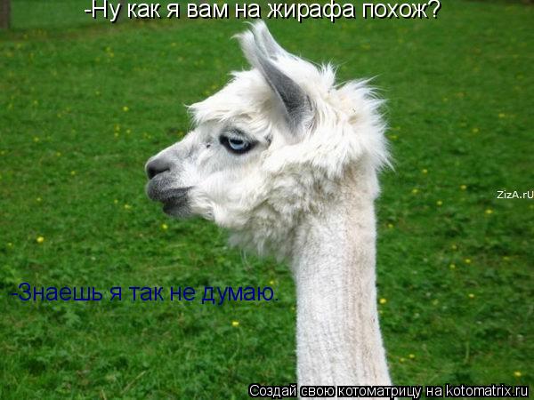 -Ну как я вам на жирафа похож? -Знаешь я так не думаю.... Котоматрица: -Ну как я вам на жирафа похож? -Знаешь я так не думаю.