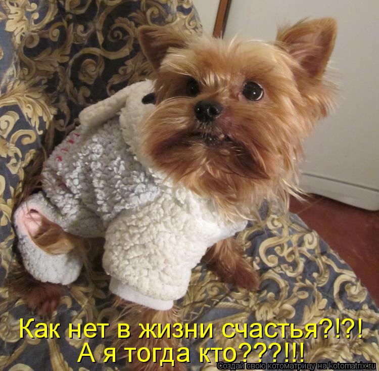 Как нет в жизни счастья?!?! А я тогда кто???!!!... Котоматрица: Как нет в жизни счастья?!?! А я тогда кто???!!!