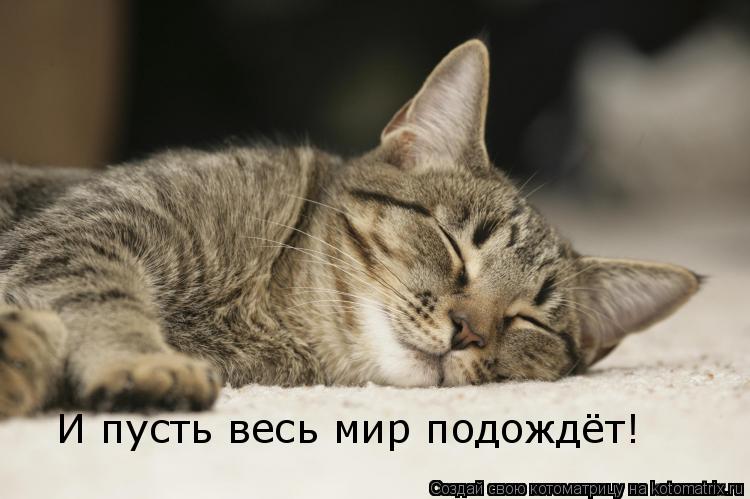 И пусть весь мир подождёт!... Котоматрица: И пусть весь мир подождёт!