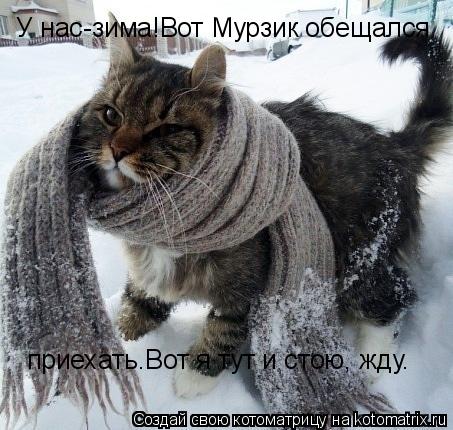 У нас-зима!Вот Мурзик обещался приехать.Вот я тут и стою, жду.... Котоматрица: У нас-зима!Вот Мурзик обещался приехать.Вот я тут и стою, жду.