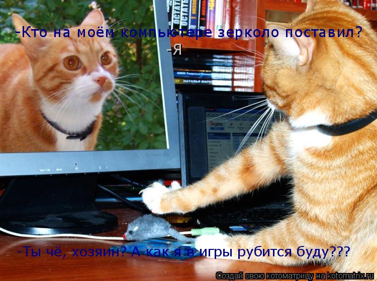 Котоматрица: -Кто на моём компьютере зерколо поставил? -Я -Ты чё, хозяин? А как я в игры рубится буду???