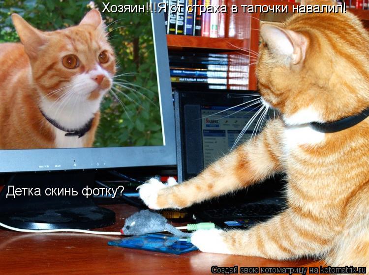 Котоматрица: Детка скинь фотку? Хозяин!!!Я от страха в тапочки навалил!
