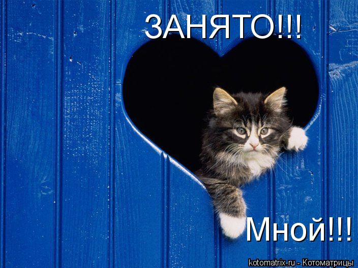 ЗАНЯТО!!! Мной!!!... Котоматрица: ЗАНЯТО!!! Мной!!!