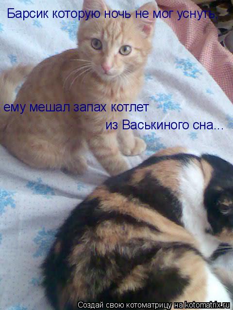 Барсик которую ночь не мог уснуть, ему мешал запах котлет из Васькиного сна...... Котоматрица: Барсик которую ночь не мог уснуть, ему мешал запах котлет из Васькиного сна...