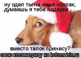 ну одел ты на меня колпак, думаешь я тебе подарки вместо тапок принесу?... Котоматрица: ну одел ты на меня колпак, думаешь я тебе подарки вместо тапок принесу?