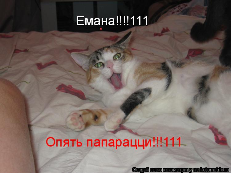 Емана!!!!111 Опять папарацци!!!111... Котоматрица: Емана!!!!111 Опять папарацци!!!111