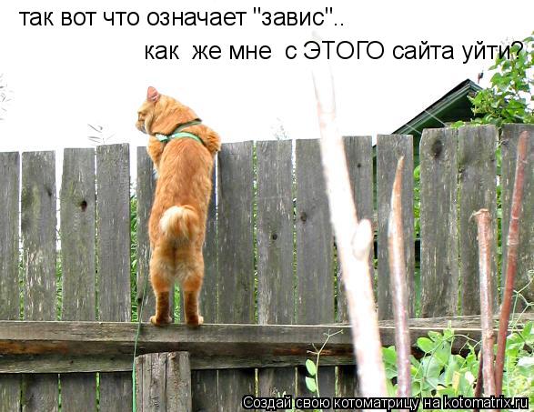 так вот что означает "завис".. как же мне с ЭТОГО сайта уйти?... Котоматрица: так вот что означает "завис".. как же мне с ЭТОГО сайта уйти?
