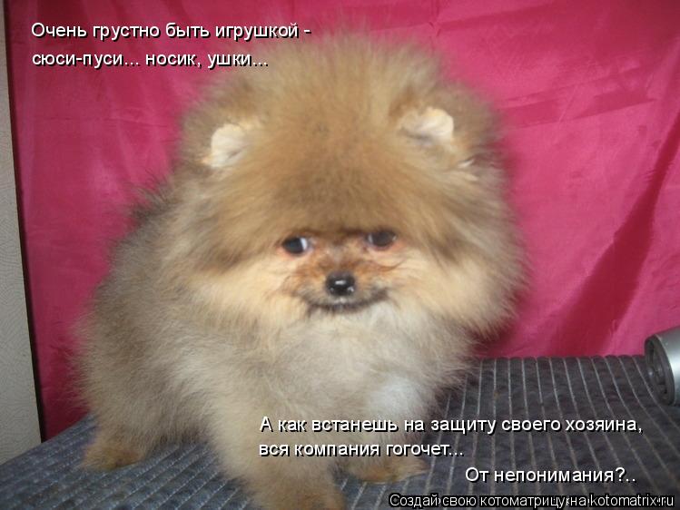 Очень грустно быть игрушкой - сюси-пуси... носик, ушки... А как встанешь на защиту своего хозяина, в... Котоматрица: Очень грустно быть игрушкой - сюси-пуси... носик, ушки... А как встанешь на защиту своего хозяина, вся компания гогочет... От непонимания?..