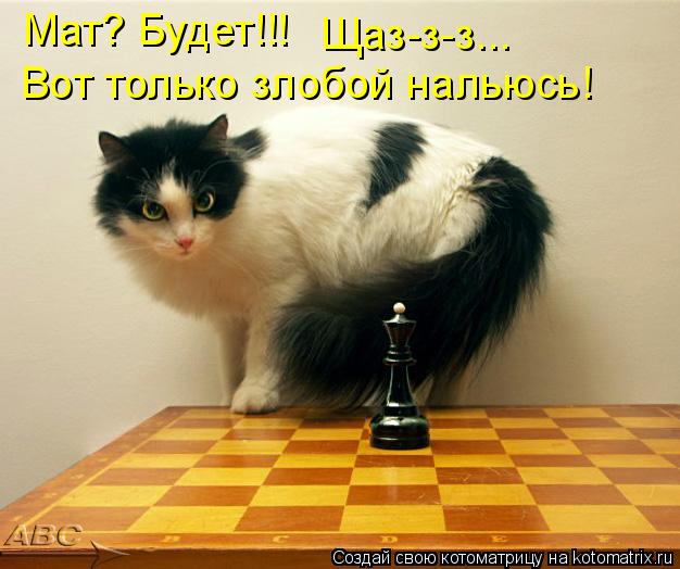 Мат? Будет!!! Вот только злобой нальюсь! Щаз-з-з...... Котоматрица: Мат? Будет!!! Вот только злобой нальюсь! Щаз-з-з...