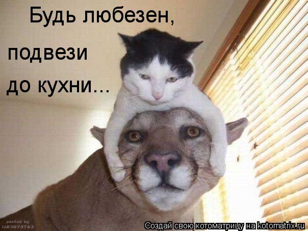 Будь любезен, до кухни... подвези... Котоматрица: Будь любезен, до кухни... подвези
