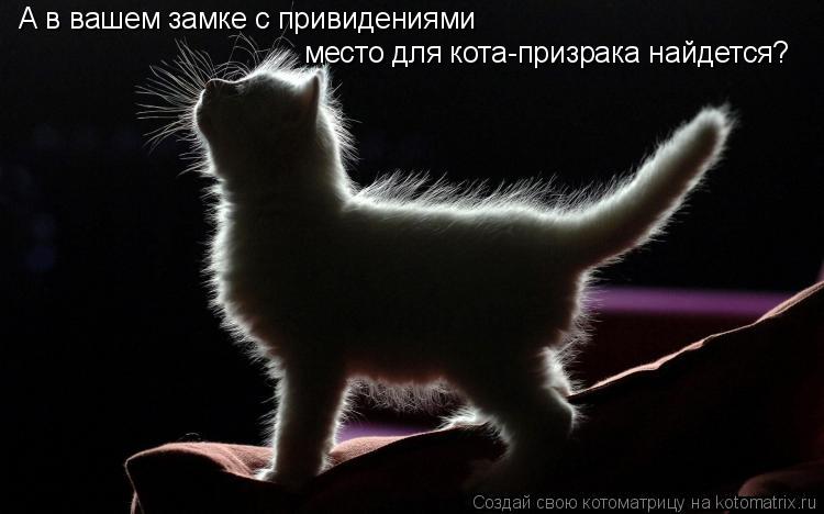 А в вашем замке с привидениями место для кота-призрака найдется?... Котоматрица: А в вашем замке с привидениями место для кота-призрака найдется?