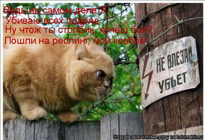 Убиваю всех подряд Ну чтож ты столбик, хочеш бой? Ведь на самом деле Я Пошли на реслинг, мой ковбой!... Котоматрица: Убиваю всех подряд Ну чтож ты столбик, хочеш бой? Ведь на самом деле Я Пошли на реслинг, мой ковбой!